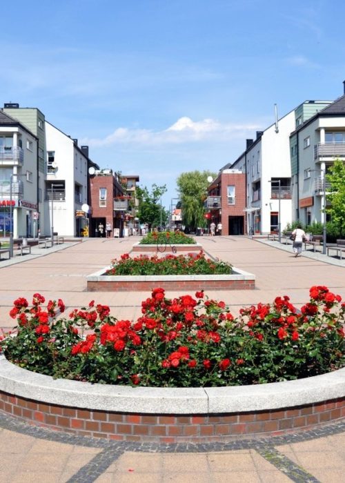 5ffecda16631d_o_xlarge